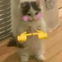 uwustandingkitten_sweets