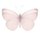 008_nf2u_butterfly Discord emoji