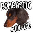 Emberbasticsideeye