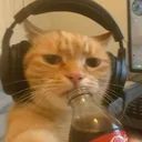 Gamer