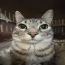 stare2 stare2