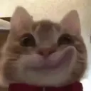 Oatmealstroke