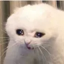 emoji_3