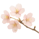 008_nf2u_blossoms