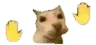 cathandsdance cathandsdance
