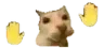 CatHandsDance CatHandsDance