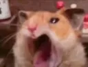 aaaaa