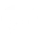 discordwhiteicon
