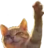 cat_wave
