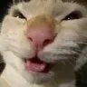 NYEHEHE