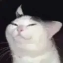 emoji_16