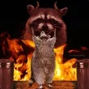arsonraccoon