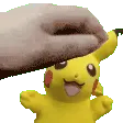 pikapet