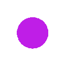 92955purple