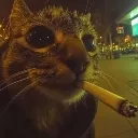 thisissalt