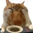satsadcat