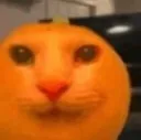 orangecat