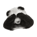 bashful animated emote - 𝒕𝒉𝒆  • 𝚍𝚎𝚎𝚙 𝚎𝚗𝚍
