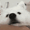 TEA_3boop Discord emoji