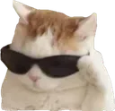 coolCat coolCat