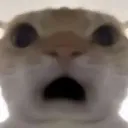 omg_car