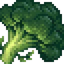 BroccoliIS