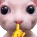 emoji_44