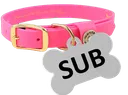SubCollar