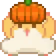 PHpumpkin