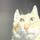 carl Discord emoji