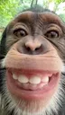 :luis_monkey_emoji: :luis_monkey_emoji:
