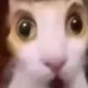 Leak