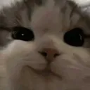 smirk smirk