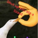 762120shutupyouatealizard