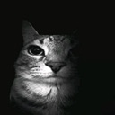:stare: