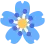 flower_blue