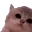 Kittyjam