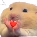 Lub
