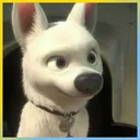 BolttheDog