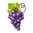 grapes