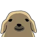 nde_stare