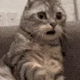 Cathah Cathah