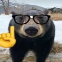 bearnerd