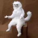 bruhwut bruhwut