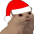 christmascatmeow