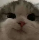 catsmirk