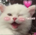:CuteCat: