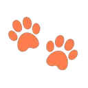9184orangepawprints