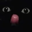 dsKitty