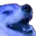 purplekekdogeanimated